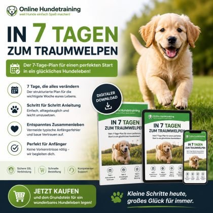 7 Days to a Dream Puppy Guide