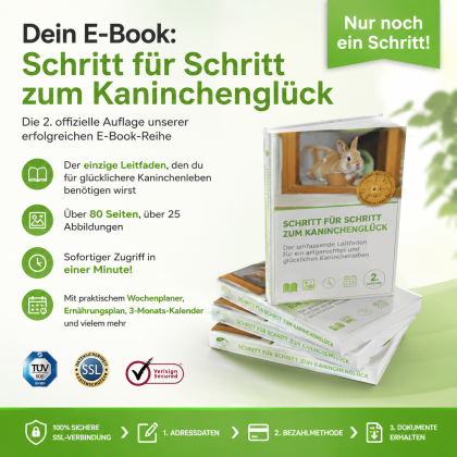 Rabbit & Hare Care Ebook