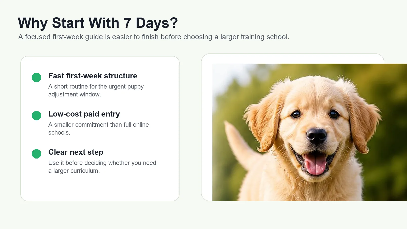 Graphic explaining why a focused first-week puppy guide can be easier to start before choosing a larger training school.