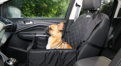 Best Dog Car Seat Covers for Cleaner Car Trips