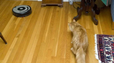 Best Vacuums for Pet Hair: What Pet Owners Should Look For Before Buying
