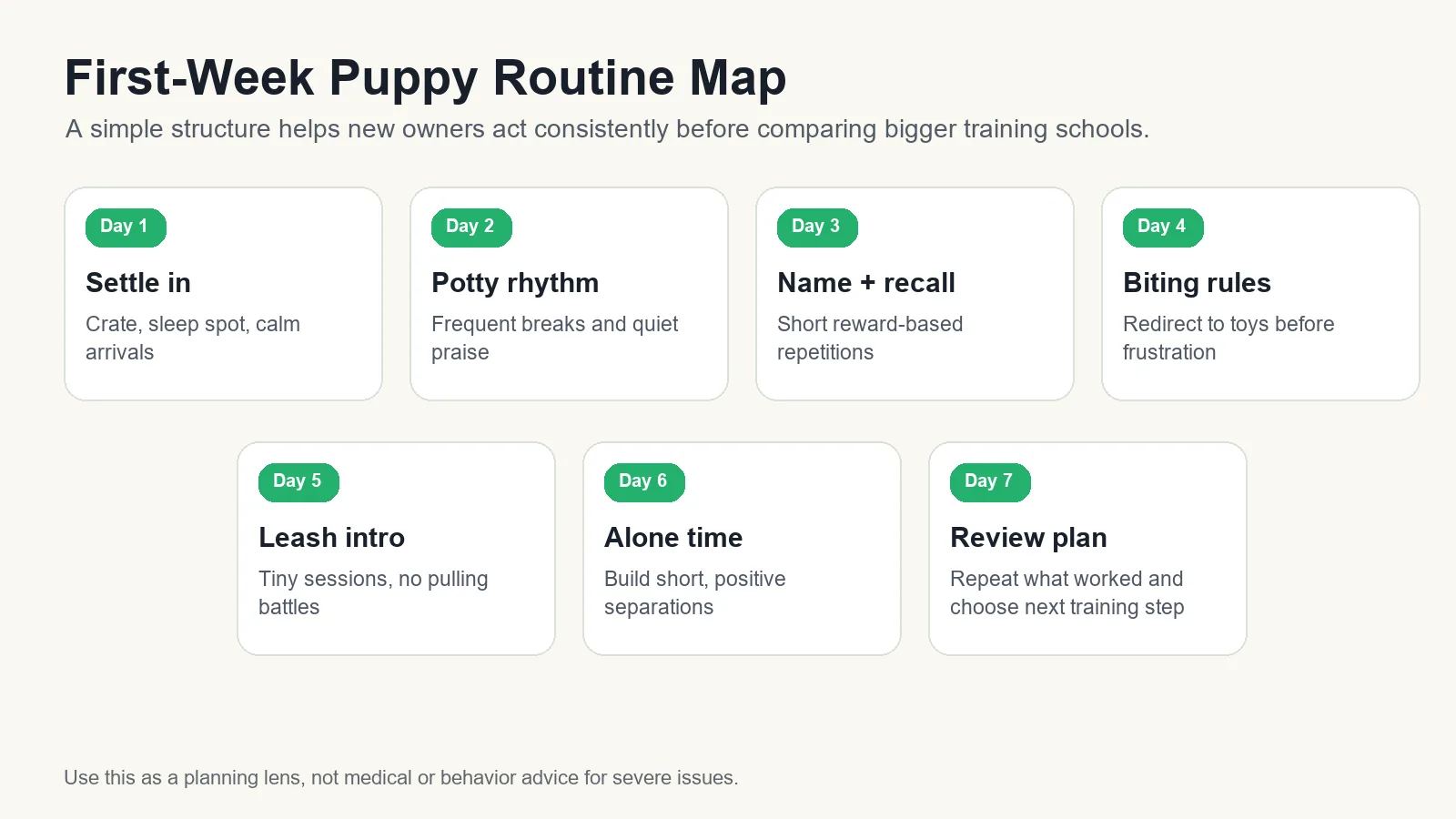 Seven-day puppy routine map covering settling in, potty rhythm, recall, biting rules, leash introduction, alone time, and review planning.