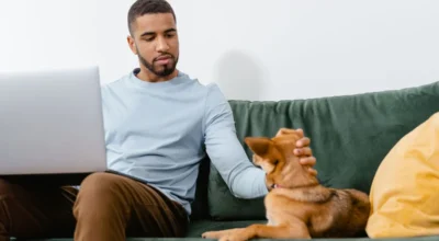 How to Compare Pet Insurance Quotes