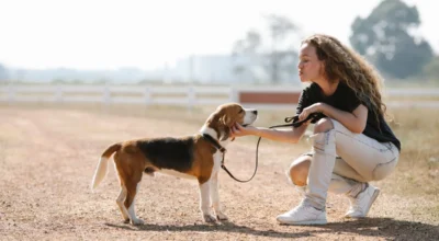 Is Pet Insurance Worth It?