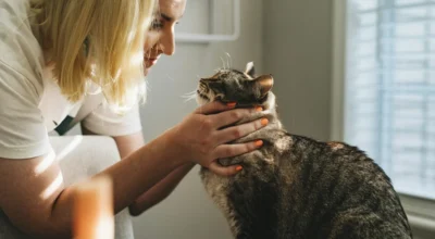 When to Use an Online Vet vs Emergency Care