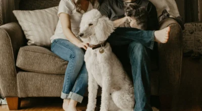 Pet Insurance Deductible vs Reimbursement
