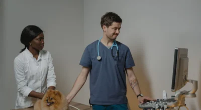 Pet Insurance Diagnostics and Specialist Care