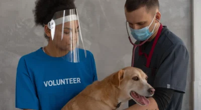 Pet Insurance Prescription Medication Coverage