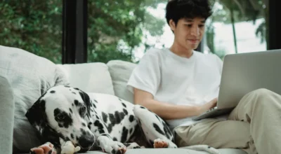 How to Read a Pet Insurance Sample Policy