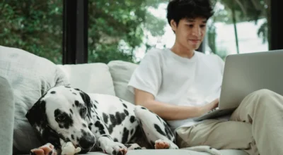 What Pet Insurance Does Not Cover