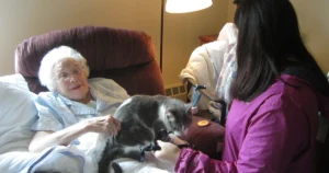 Can You Train a Cat to Be an Emotional Support Animal? What Training Can and Cannot Do