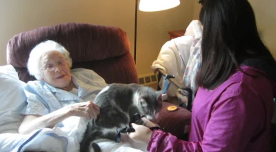 Can You Train a Cat to Be an Emotional Support Animal? What Training Can and Cannot Do