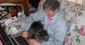 Cat Sitter App Checklist: What to Compare Before You Book