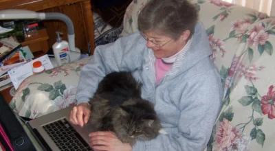 Cat Sitter App Checklist: What to Compare Before You Book