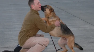 Dog Training App for Jumping on Guests: What to Practice First