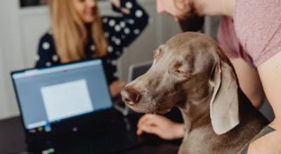 How to Appeal a Pet Insurance Pre-Existing Condition Denial
